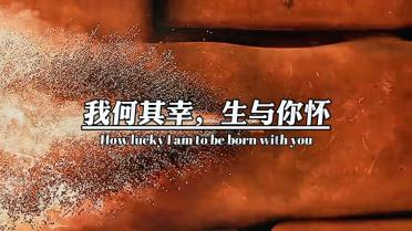 磁石之指南，犹柏之指西。的意思？游戏画面